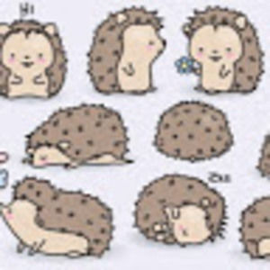 Meet your Posher, Patty